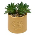 ATMOSPHERA - Plante artificielle en pot Cheri 13x10cm - vignette