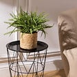 ATMOSPHERA - Fougère artificielle en pot "Clemy" vert H45cm - vignette