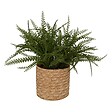 ATMOSPHERA - Fougère artificielle en pot "Clemy" vert H45cm - vignette