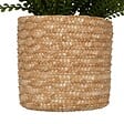 ATMOSPHERA - Fougère artificielle en pot "Clemy" vert H45cm - vignette