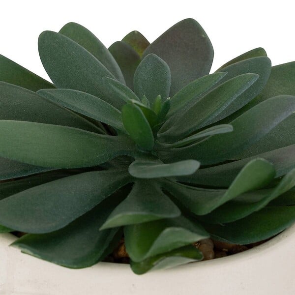 ATMOSPHERA - Plante artificielle "Dusty" H16cm - large