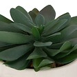 ATMOSPHERA - Plante artificielle "Dusty" H16cm - vignette