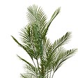 ATMOSPHERA - Palmier artificielle Merlo 187 cm avec Pot Blanc - vignette
