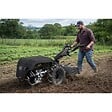 LAMBORGHINI - Motoculteur thermique Agricole 18CV 500Cm3 OHV 4T Démarrage électrique Fraises rotative 800mm Guidon réglable Lamborghini - vignette