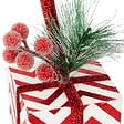 FEERIC LIGHTS & CHRISTMAS - Sujet cadeau baies rouges 10cm polystyrène - vignette