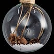 FEERIC LIGHTS & CHRISTMAS - Boule intérieur branche et pomme de pin 6cm verre - vignette
