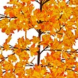 FEERIC LIGHTS & CHRISTMAS - Arbre orange lumineux extérieur 300 LED blanc chaud H.200cm - vignette