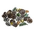 FEERIC LIGHTS & CHRISTMAS - Sachet d'accessoires déco de table nature 110 gr or - vignette