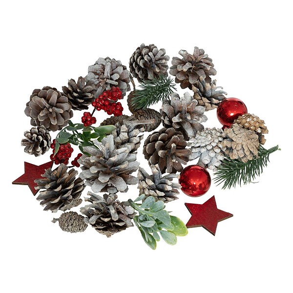 FEERIC LIGHTS & CHRISTMAS - Sachet d'accessoires déco de table nature 110 gr rouge - large