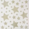 FEERIC LIGHTS & CHRISTMAS - Déco vitre pailleté étoile 30X32 - vignette