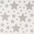 FEERIC LIGHTS & CHRISTMAS - Déco vitre pailleté étoile 30X32 - vignette