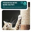 VOUNOT - Arbre a chat 112cm multi niveaux Griffoir et niche Marron - vignette
