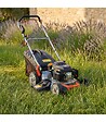 POPSTER - Tondeuse thermique 46 cm 139cc démarrage électrique et mulching inclus - POPSTER TLM046SM L139ES - vignette