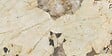 RO'MA NATURE - Carrelage effet Pierre Onyx Sable 120x60x0,9 cm Brillant Florenza - Sol et mur intérieur (vendu par carton de 1,44 m²) - vignette