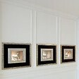 ORAC DECOR - Corniche Classique Aux Courbes Élégantes Cx123 - L200 X H8 X L8 - Orac Decor - vignette