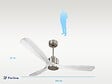 PURLINE - Ventilateur de plafond Réversible  Thermostat Wifi Moteur à courant continu Toits en pente Télécommande Hypersilence Mémoire - vignette