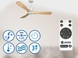 PURLINE - Ventilateur de plafond Réversible  Thermostat Wifi Moteur à courant continu Toits en pente Télécommande Hypersilence Mémoire - vignette