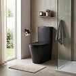 SWISS AQUA TECHNOLOGIES - Brevis WC à poser sans bride + abattant softclose, noir mat (SATBRE031RREXVPBKM) - vignette