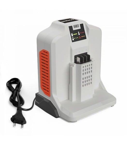 DAEWOO - Chargeur rapide 62V 4A pour batterie DAEWOO DALCH62-4A - large
