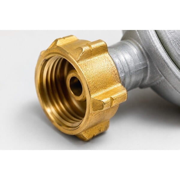 PROWELTEK - Détendeur gaz BUTANE 28 mbar avec limiteur de débit Raccords 20/150 & G1/2. - large