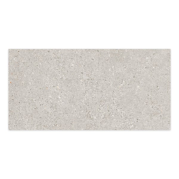 RO'MA NATURE - Carrelage effet Béton Gris Silver 100x50x2 cm Arvelis - Sol extérieur (vendu par carton de 0,5 m²) - large