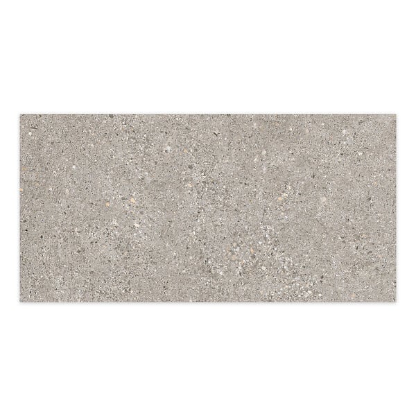 RO'MA NATURE - Carrelage effet Béton Gris Cendré 100x50x2 cm Arvelis - Sol extérieur (vendu par carton de 0,5 m²) - large
