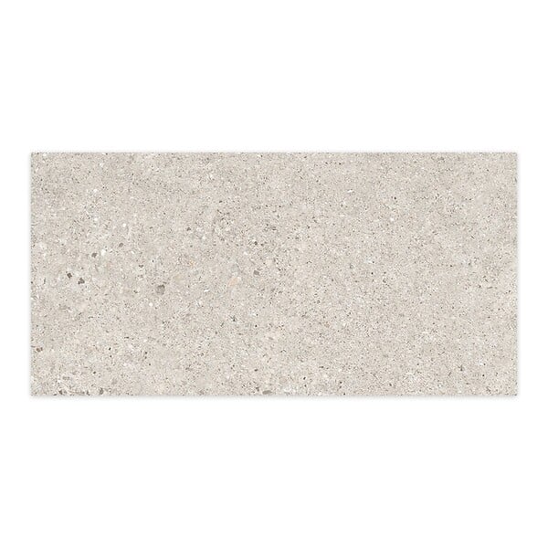 RO'MA NATURE - Carrelage effet Béton Gris Silver 120x60x0,9 cm In&Out Arvelis - Sol et mur intérieur et Sol extérieur (vendu par carton de 1,44 m²) - large