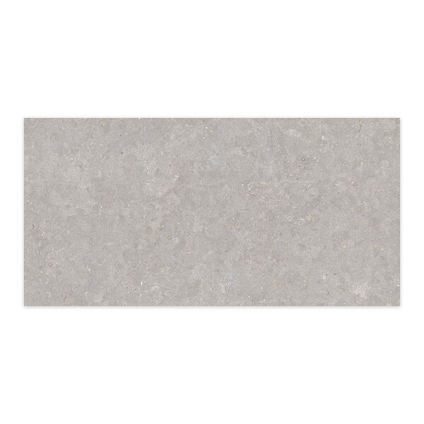 RO'MA NATURE - Carrelage effet Pierre Gris Cendré 120x60x0,9 cm In&Out Belmorin - Sol et mur intérieur et Sol extérieur (vendu par carton de 1,44 m²) - large