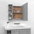 VIDAXL - vidaXL Armoire à miroir avec LED Sonoma gris 70x16,5x60 cm - vignette