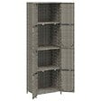 VIDAXL - vidaXL Armoire de rangement jardin Gris 59x40x180 cm Résine tressée - vignette