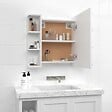 VIDAXL - vidaXL Armoire à miroir avec LED Blanc 70x16,5x60 cm - vignette