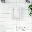 VIDAXL - vidaXL Armoire salle de bain à miroir LED Blanc 40x12x45 cm Acrylique - vignette
