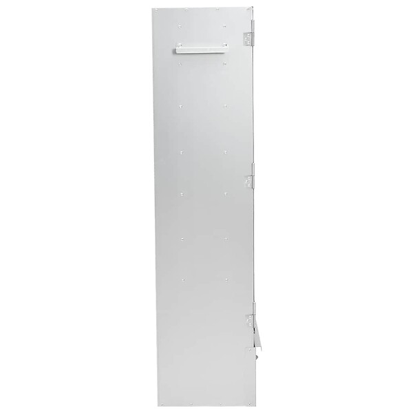 VIDAXL - vidaXL Fumoir pour four à barbecue avec copeaux de bois 44,5x29x110 cm - large