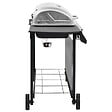 VIDAXL - vidaXL Barbecue gril à gaz avec 6 brûleurs Noir et argenté - vignette