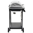 VIDAXL - vidaXL Barbecue au gaz avec 6 zones de cuisson Inox Argenté - vignette