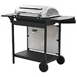 VIDAXL - vidaXL Barbecue au gaz avec 6 zones de cuisson Inox Argenté - vignette