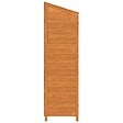 VIDAXL - vidaXL Remise de jardin Marron 102x52x174,5 cm Bois de sapin solide - vignette