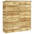 VIDAXL - vidaXL Abri à outils de jardin 163x50x171 cm Bois de pin solide - vignette