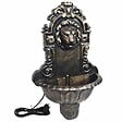 VIDAXL - vidaXL Fontaine murale Design de tête de lion Bronze - vignette