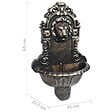 VIDAXL - vidaXL Fontaine murale Design de tête de lion Bronze - vignette