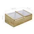 VIDAXL - vidaXL Serres 2 pcs Bois de pin imprégné 100x50x35 cm - vignette