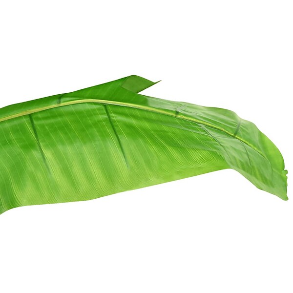 VIDAXL - vidaXL Bananier artificiel avec pot 300 cm Vert - large