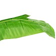 VIDAXL - vidaXL Bananier artificiel avec pot 300 cm Vert - vignette