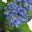 VIDAXL - vidaXL Plante hortensia artificielle avec pot 60 cm Bleu - vignette