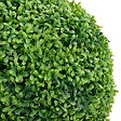 VIDAXL - vidaXL Plante de buis artificiel avec pot Forme de boule Vert 50 cm - vignette