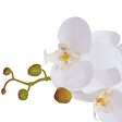 VIDAXL - vidaXL Plante artificielle avec pot Orchidée 75 cm Blanc - vignette