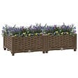 VIDAXL - vidaXL Lit surélevé 80x40x23 cm Polypropylène - vignette