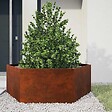 VIDAXL - vidaXL Jardinière Rouillé 138x120x45 cm Acier corten - vignette