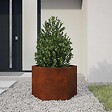 VIDAXL - vidaXL Jardinière Rouillé 60x60x45 cm Acier corten - vignette