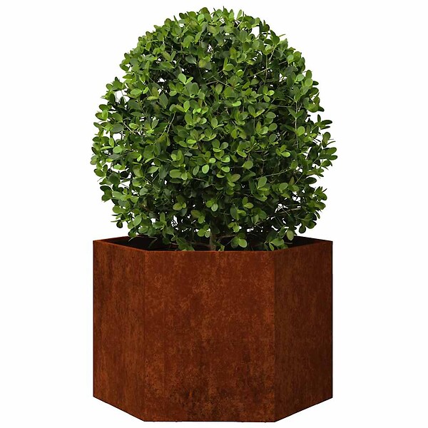 VIDAXL - vidaXL Jardinière Rouillé 60x60x45 cm Acier corten - large